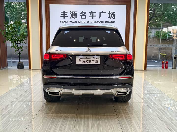 Фото 32 - Mercedes-Benz Maybach GLS