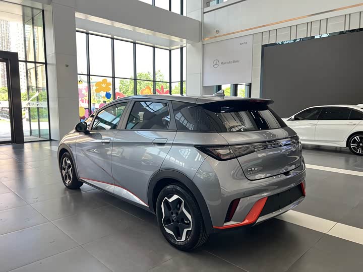 Фото 4 - BYD Dolphin