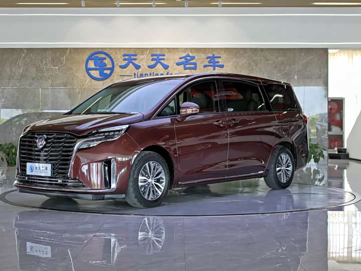 Фото 1 - Buick GL8 ES