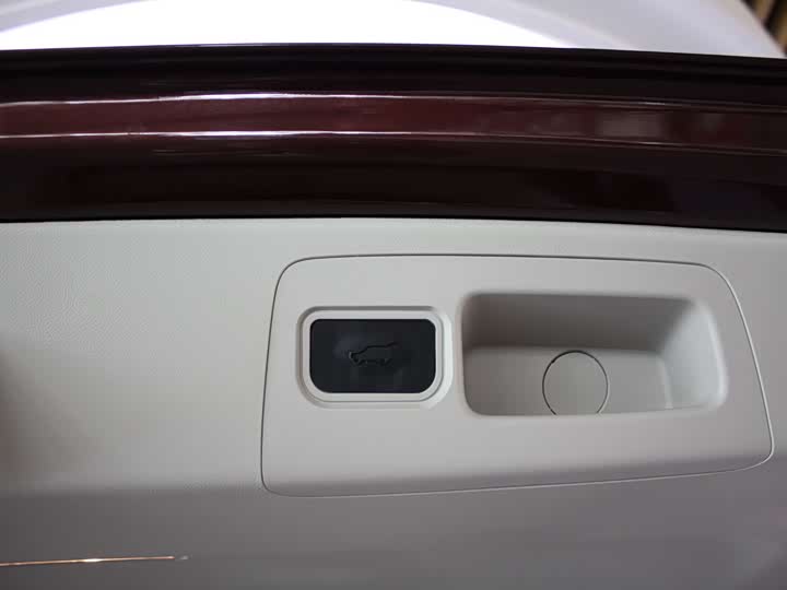 Фото 26 - Buick GL8 ES