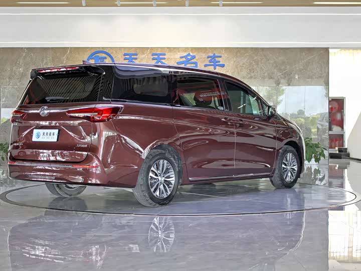 Фото 5 - Buick GL8 ES