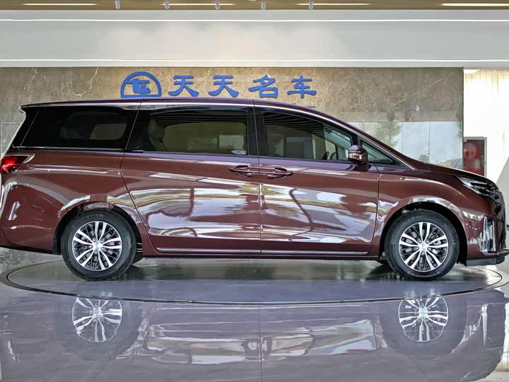 Фото 6 - Buick GL8 ES