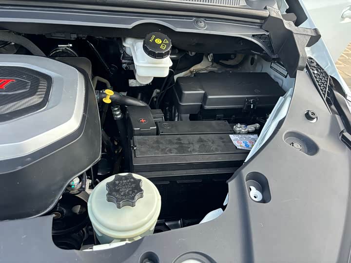 Фото 16 - Maxus G20