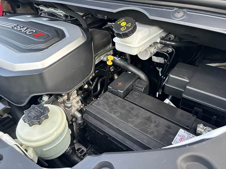 Фото 17 - Maxus G20