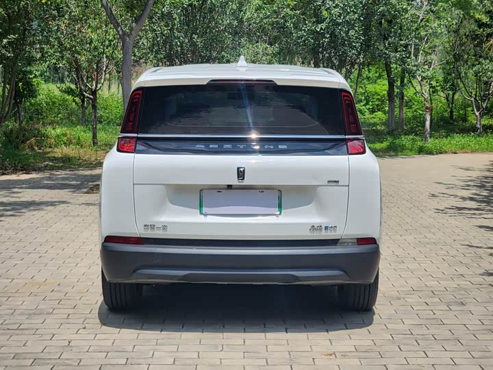 Фото 4 - Bestune NAT