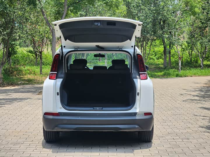 Фото 6 - Bestune NAT