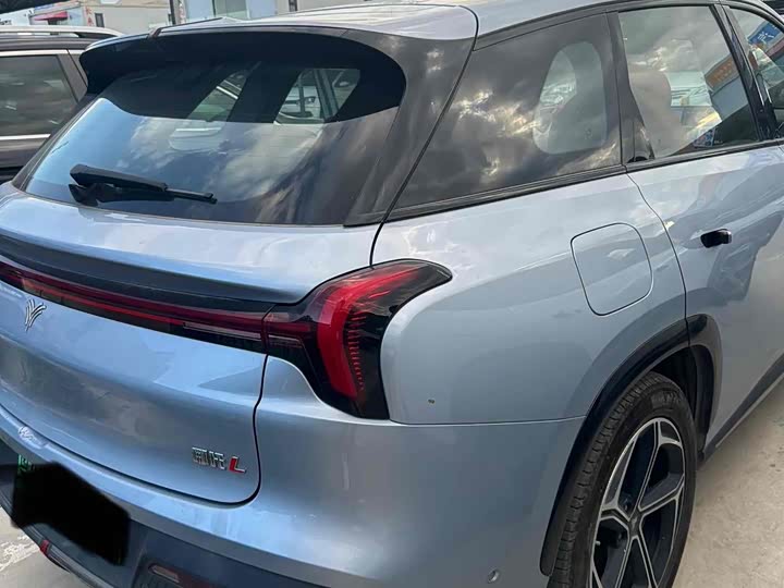 Фото 9 - Hozon L