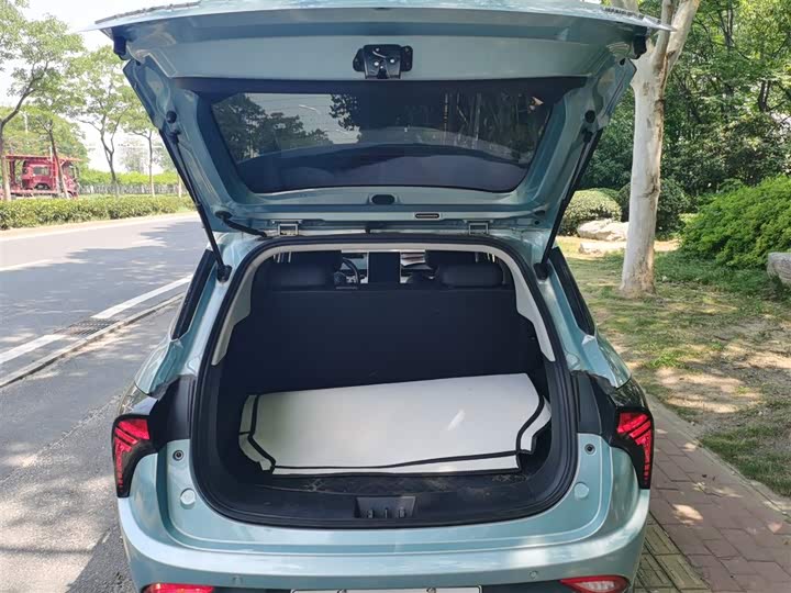 Фото 19 - Hozon V