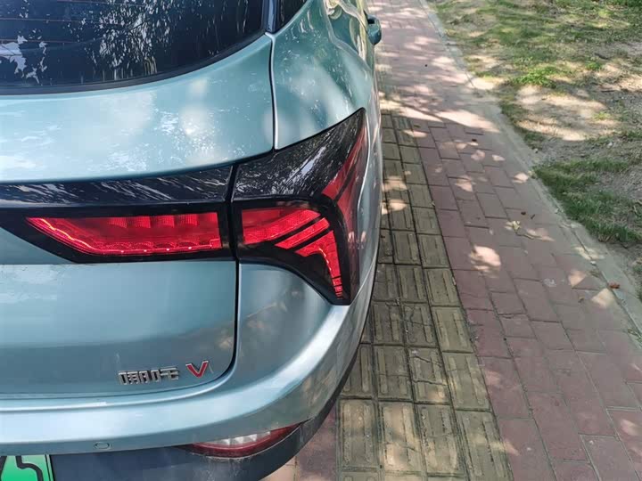 Фото 8 - Hozon V