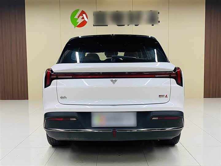 Фото 10 - Hozon L