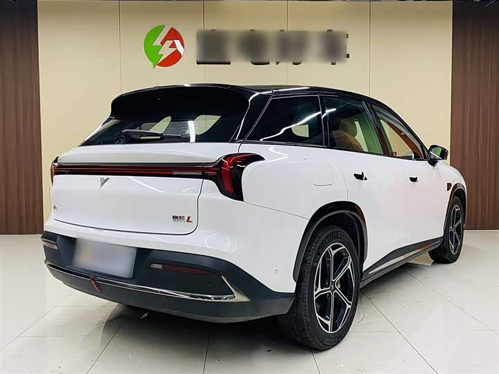 Фото 8 - Hozon L