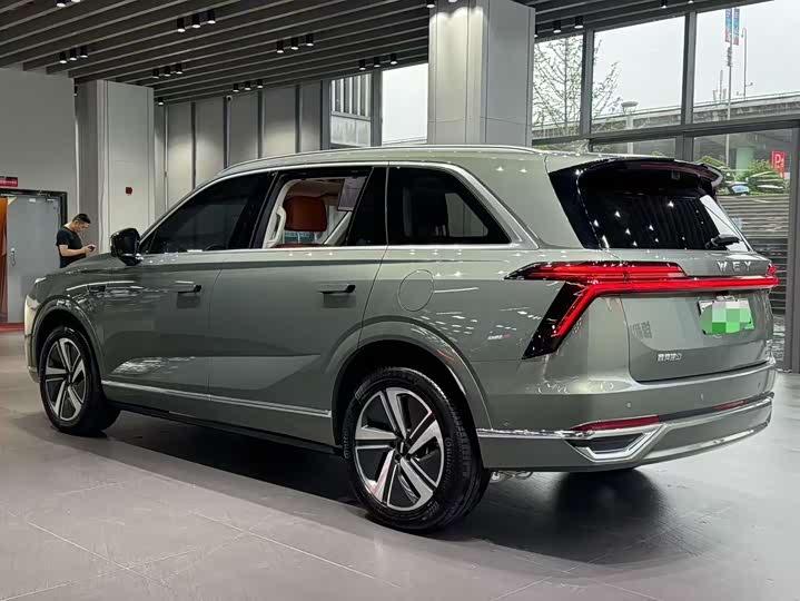 Фото 12 - Wey Lanshan