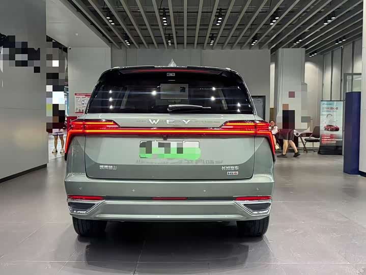 Фото 13 - Wey Lanshan