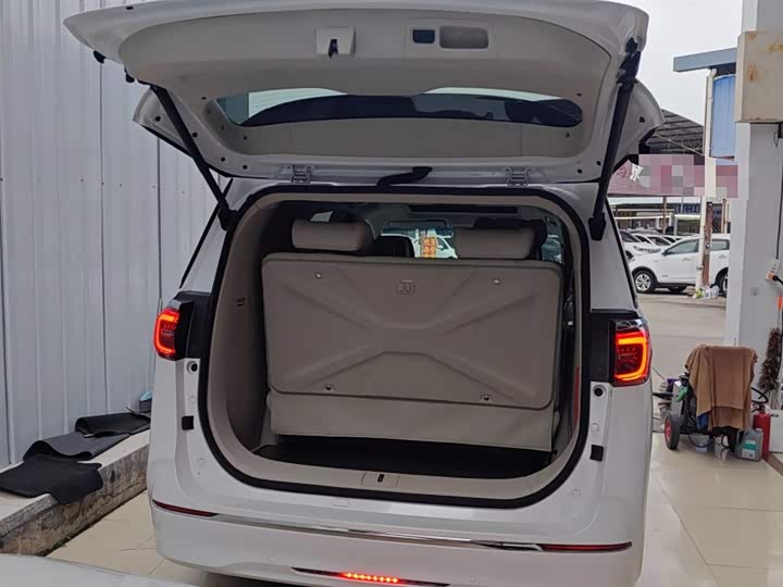 Фото 19 - Buick GL8 ES