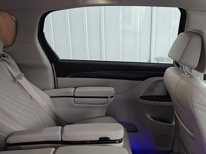 Фото 29 - Buick GL8 ES