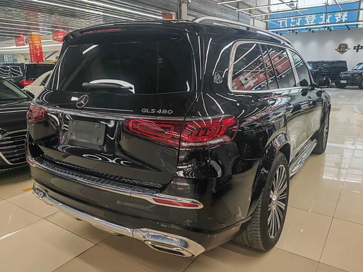 Фото 10 - Mercedes-Benz Maybach GLS