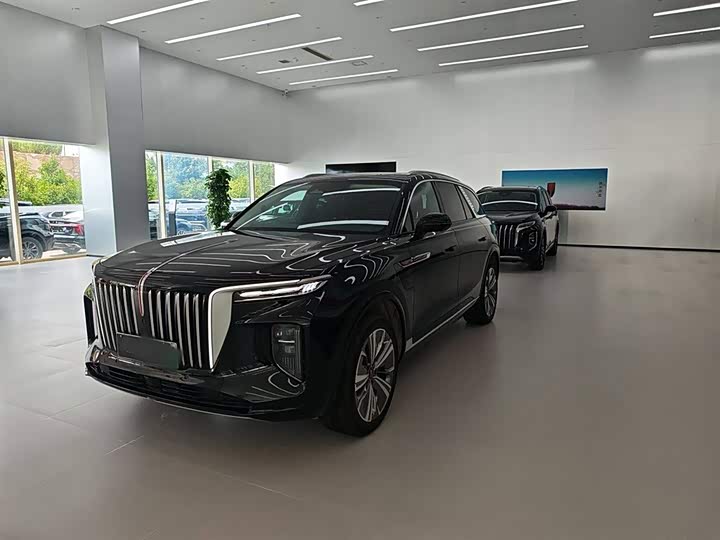 Фото 2 - Hongqi E-HS9