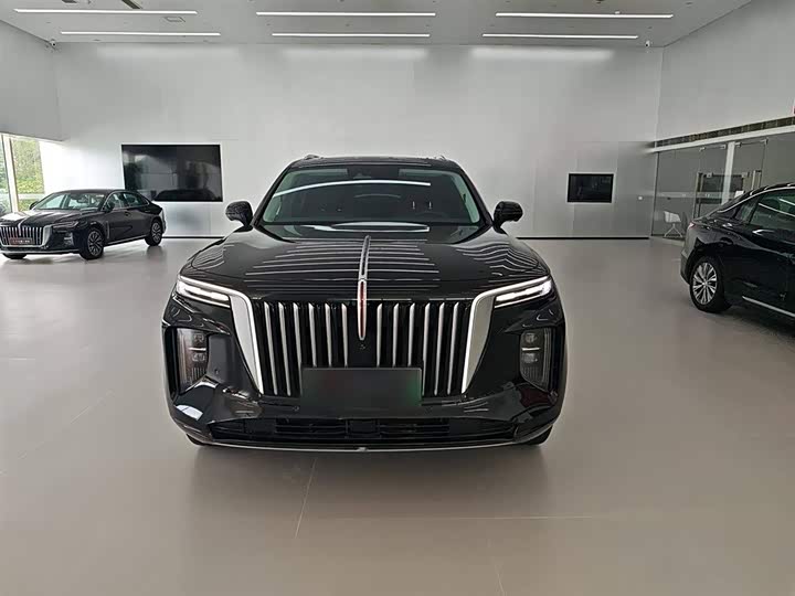 Фото 3 - Hongqi E-HS9