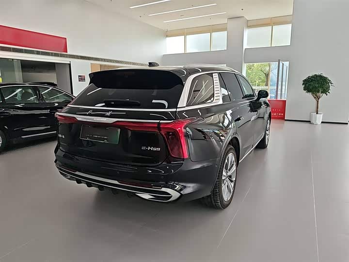 Фото 5 - Hongqi E-HS9