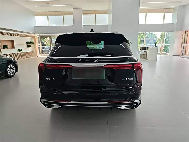 Фото 6 - Hongqi E-HS9