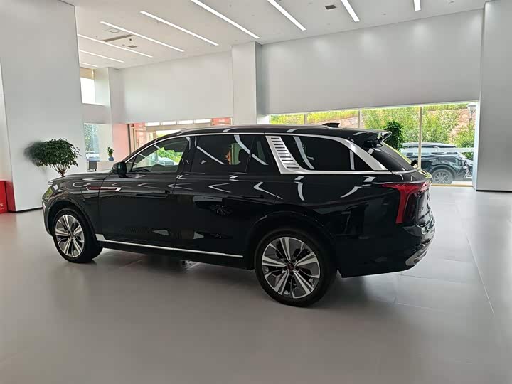 Фото 7 - Hongqi E-HS9