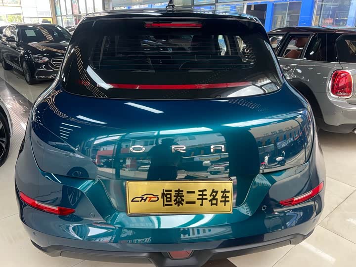 Фото 9 - Ora Good Cat (03)