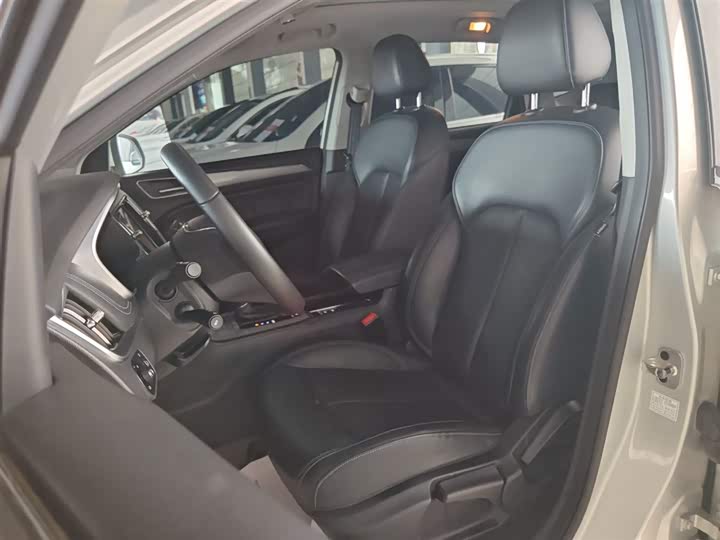 Фото 6 - Roewe RX5