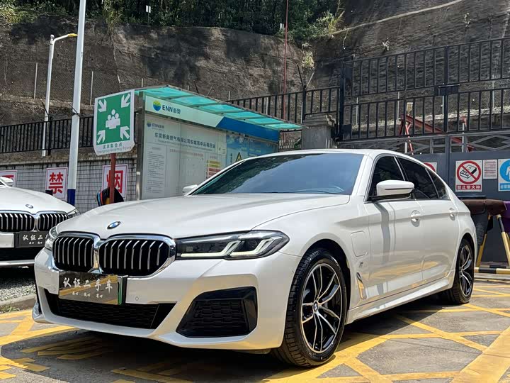 Фото 1 - BMW 5 Series Hybrid