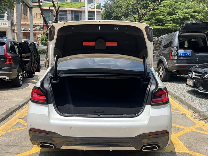 Фото 17 - BMW 5 Series Hybrid