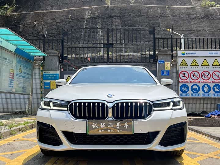Фото 2 - BMW 5 Series Hybrid