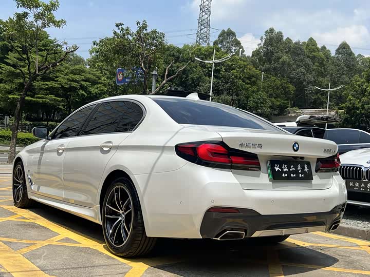 Фото 4 - BMW 5 Series Hybrid