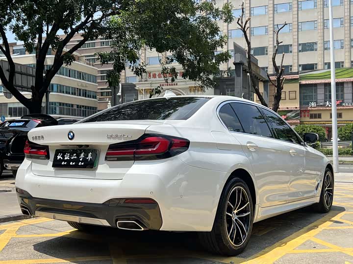 Фото 5 - BMW 5 Series Hybrid