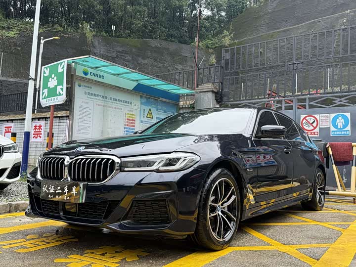 Фото 1 - BMW 5 Series Hybrid