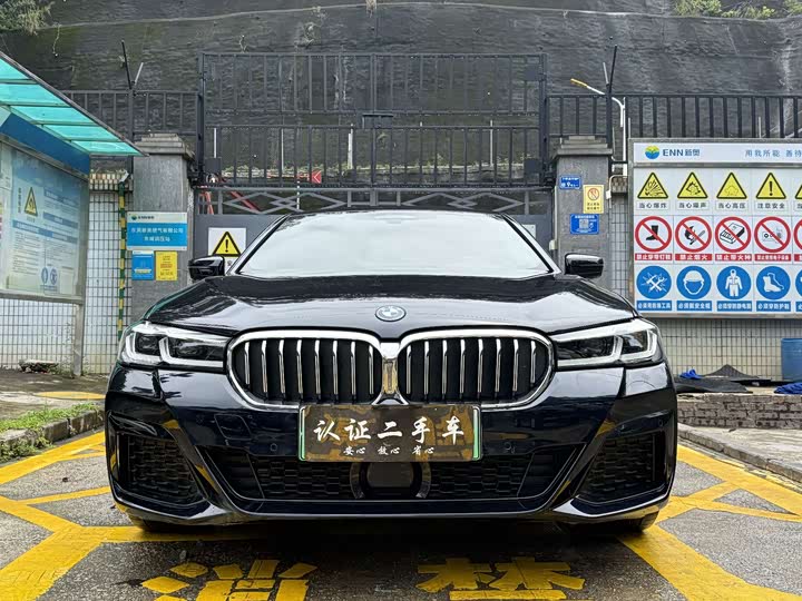 Фото 2 - BMW 5 Series Hybrid