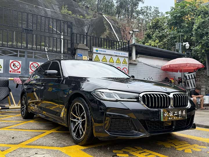 Фото 3 - BMW 5 Series Hybrid