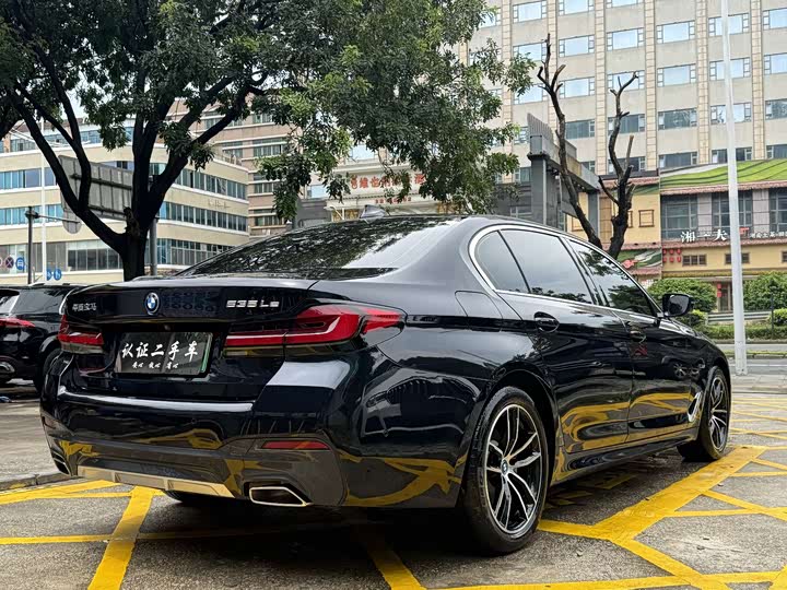 Фото 5 - BMW 5 Series Hybrid