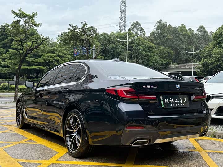 Фото 6 - BMW 5 Series Hybrid