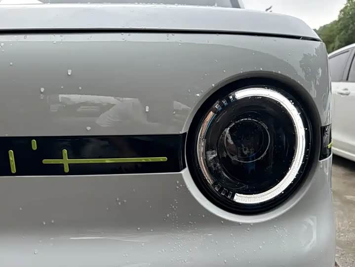 Фото 25 - Geely Galaxy Panda Mini