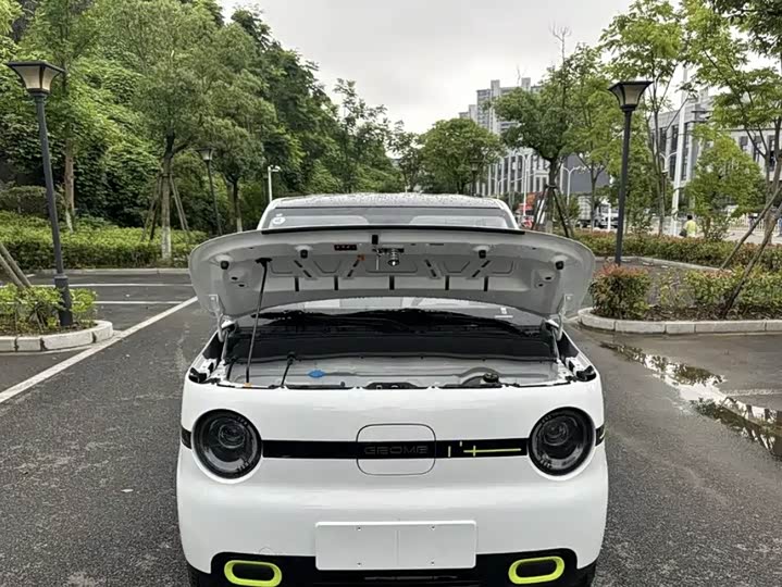 Фото 6 - Geely Galaxy Panda Mini