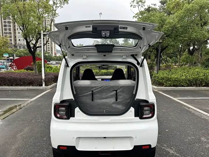 Фото 8 - Geely Galaxy Panda Mini