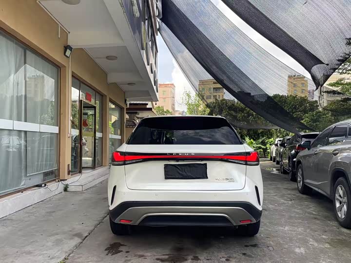 Фото 12 - Lexus RX