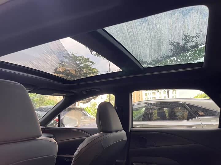 Фото 7 - Lexus RX