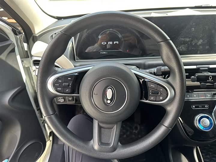 Фото 13 - Ora White Cat