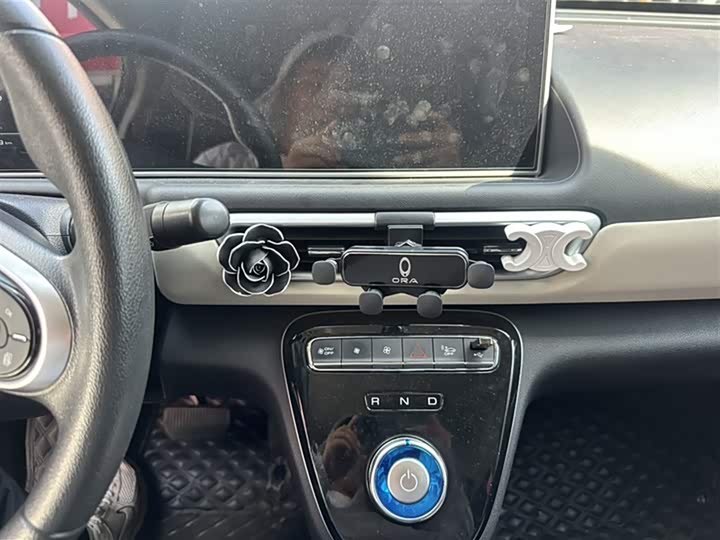 Фото 14 - Ora White Cat