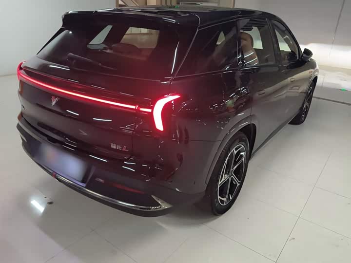 Фото 7 - Hozon L