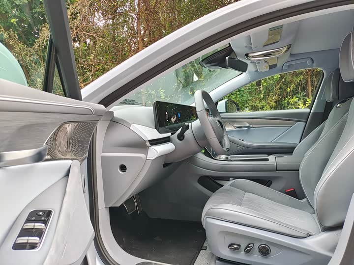 Фото 4 - Voyah Passion