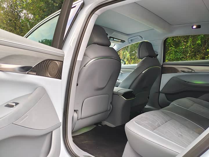 Фото 5 - Voyah Passion