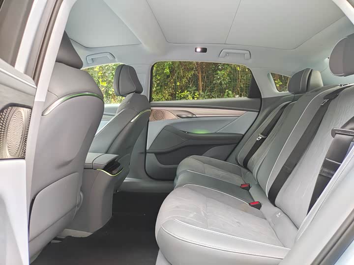 Фото 7 - Voyah Passion