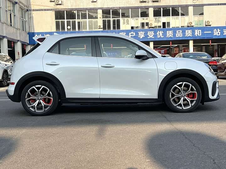 Фото 3 - Ora Good Cat GT (03 GT)