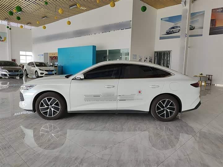 Фото 5 - BYD Qin L